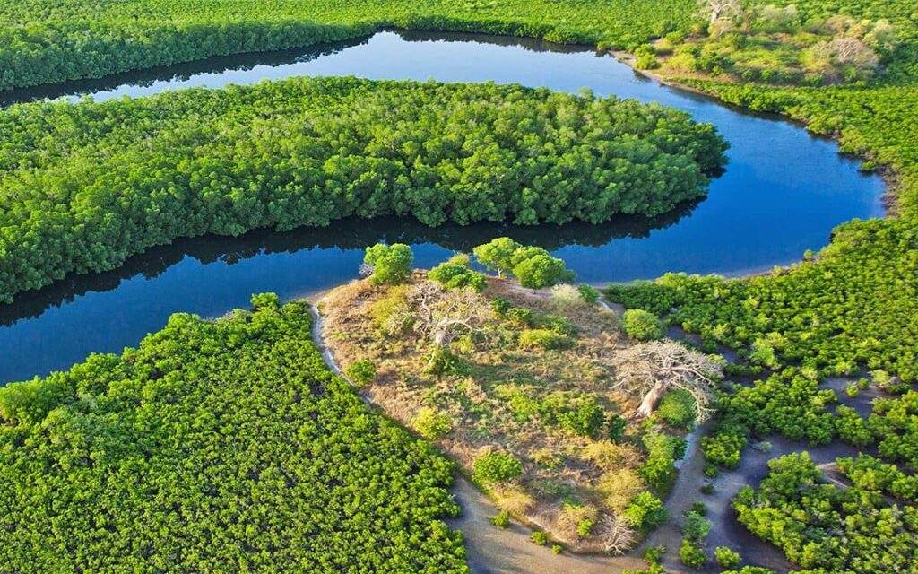 Mon Circuit Privé du Siné Saloum aux Plages de la Petite Côte - 20