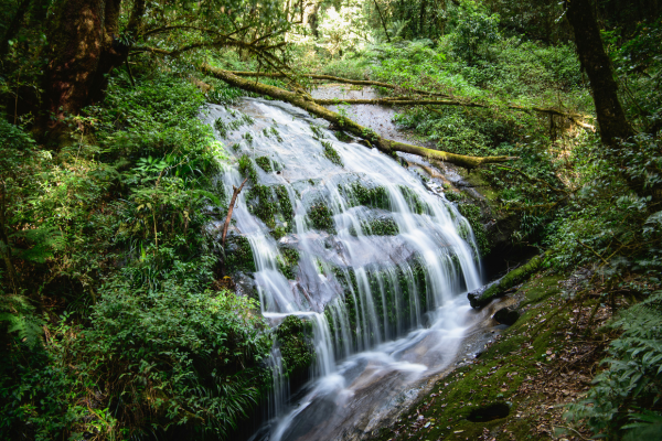 Circuit Trekking et Aventures, sur la Piste des Tribus du Nord - 22