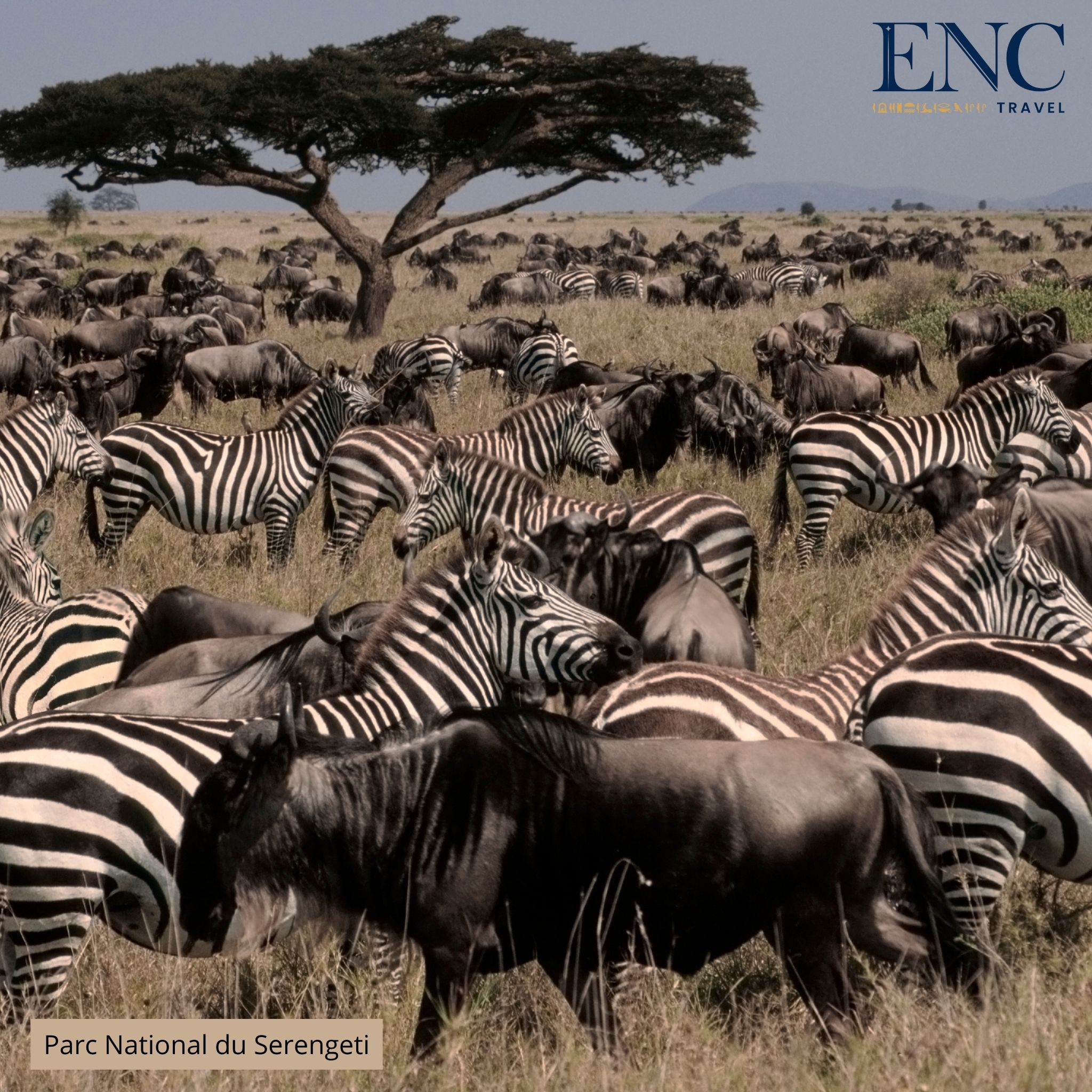 Photo Circuit ENC Travel