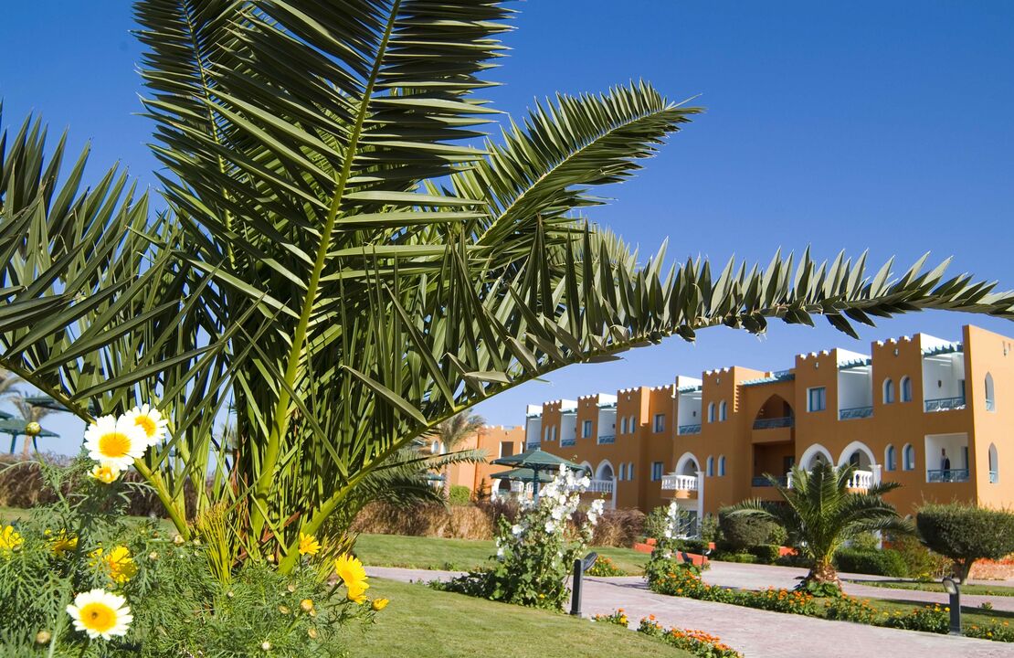 Egypte - Mer Rouge - Hurghada - Hôtel Sunrise Select Garden Beach Resort 5*
