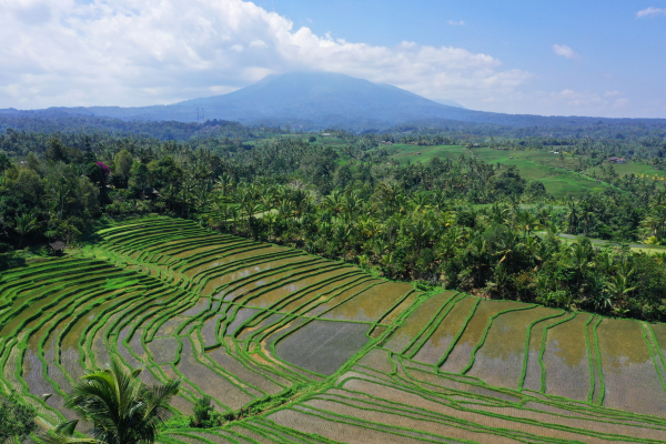Bali - Indonésie - Combiné Jungle, Rizières et Sable de Bali 4*