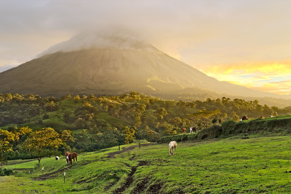 Costa Rica - Circuit Safari au Pays de l'Or Noir et Parc Rincon de la Vieja