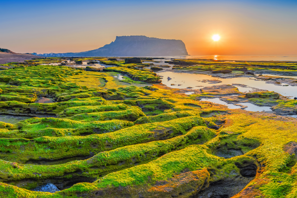 Circuit Aventures Coréennes, de Séoul à l'île de Jeju - 1
