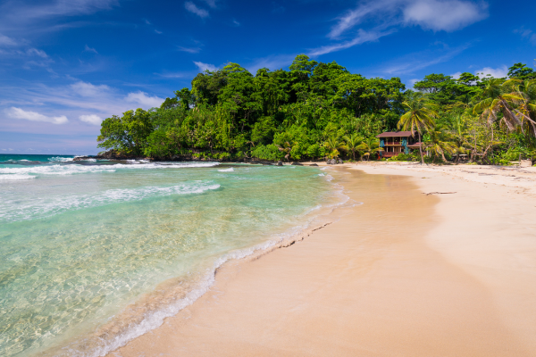Circuit Dans le Sillage des Corsaires : De Panama à Bocas del Toro - 35