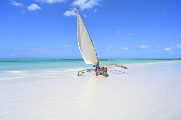 Tanzanie - Zanzibar - Circuit Jambo Zanzibar et plage de Kiwengwa