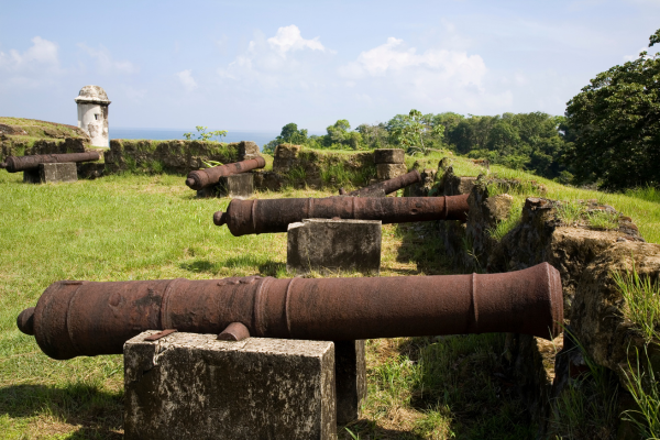 Panama - Circuit Orchidées du Panama en Privatif