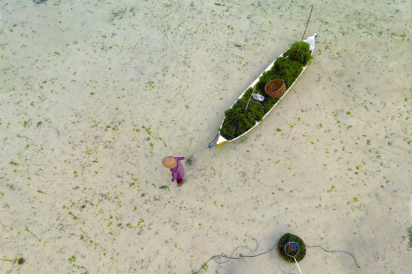 Combiné Des Rizières de l'île des Dieux aux eaux turquoise de Nusa Lembongan 4*