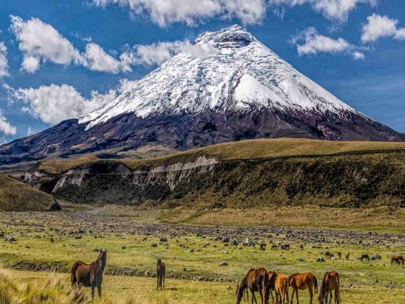 Circuit Évasion en Equateur (Petit groupe) - Extension Amazonie proche & Galapagos - 24