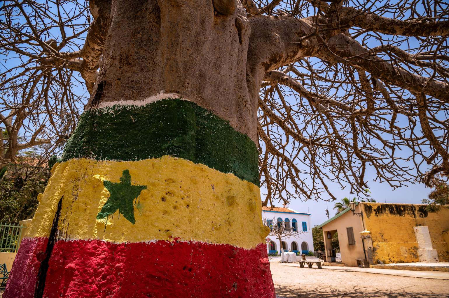 Mon Circuit Privé du Siné Saloum aux Plages de la Petite Côte - 15