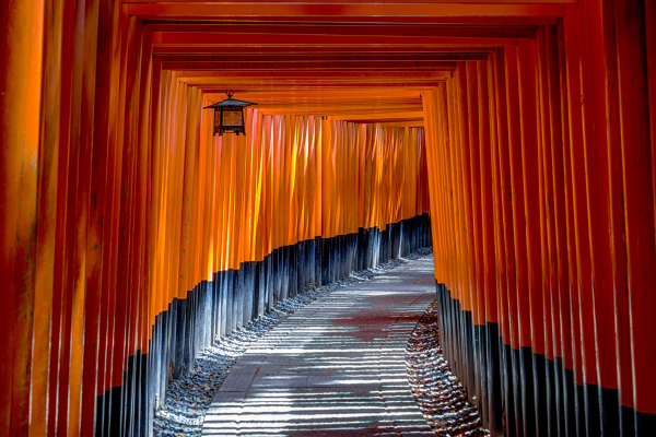 Image 28 du séjour Circuit Au Pays du Soleil Levant à Tokyo, Japon