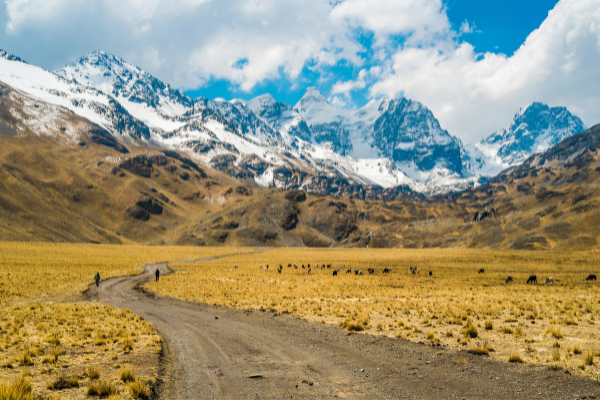 Circuit Vis Ma Vie d'Andin, Bolivie Ethique et Responsable en Privatif - 15