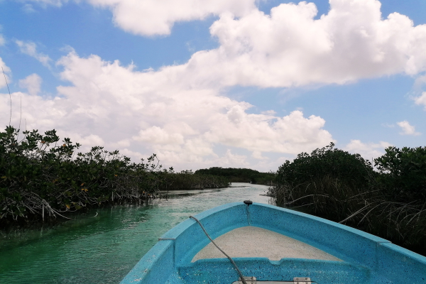 Circuit Secrets Mayas et Douceurs des Caraïbes en Privatif - Vols Flex - 34