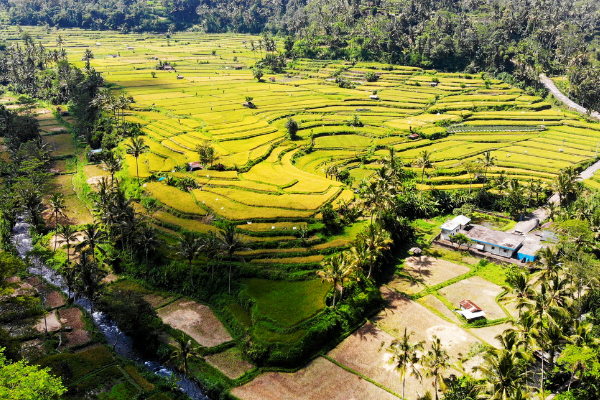 Circuit L'Ouest Insolite de Bali à Java - 29