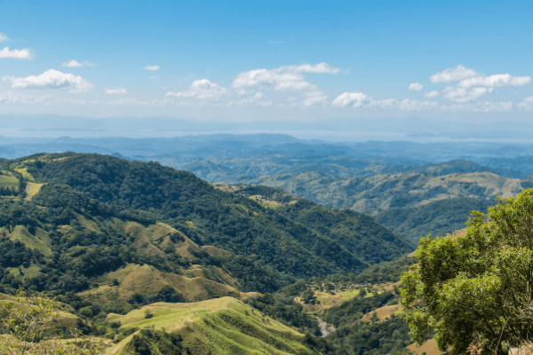 Costa Rica - Circuit Safari au Pays de l'Or Noir et Parc Rincon de la Vieja
