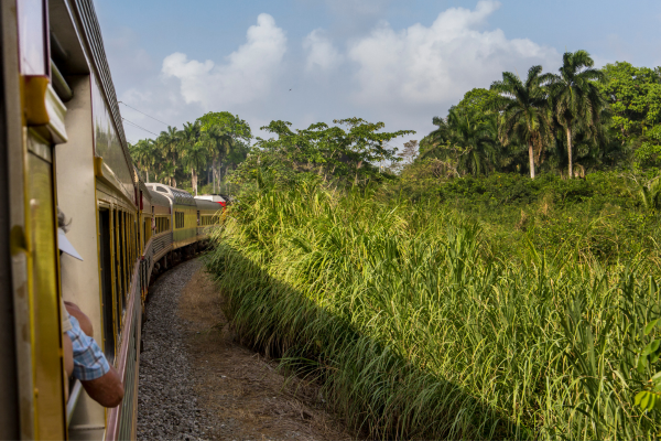 Panama - Circuit Orchidées du Panama en Privatif