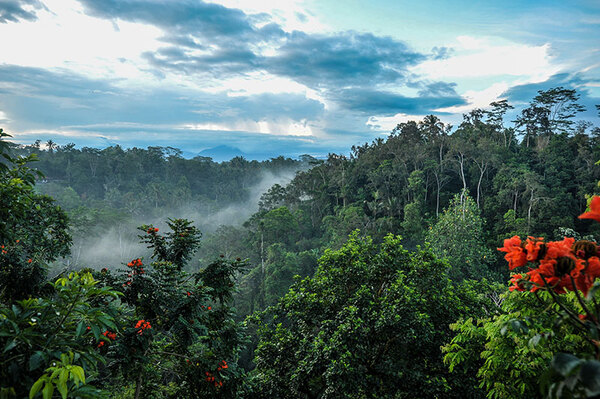 Bali - Indonésie - Combiné Jungle et Sable Komaneka 5*
