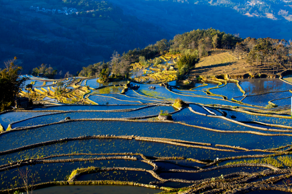 Circuit Yunnan Authentique, Rizières de Yuanyang et Trésors Tibétains - 13