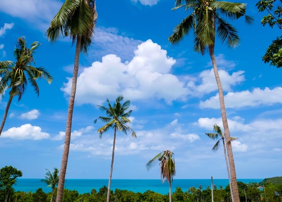 Combiné Evasion de Bangkok 5* aux plages de Koh Samui 5* - 16