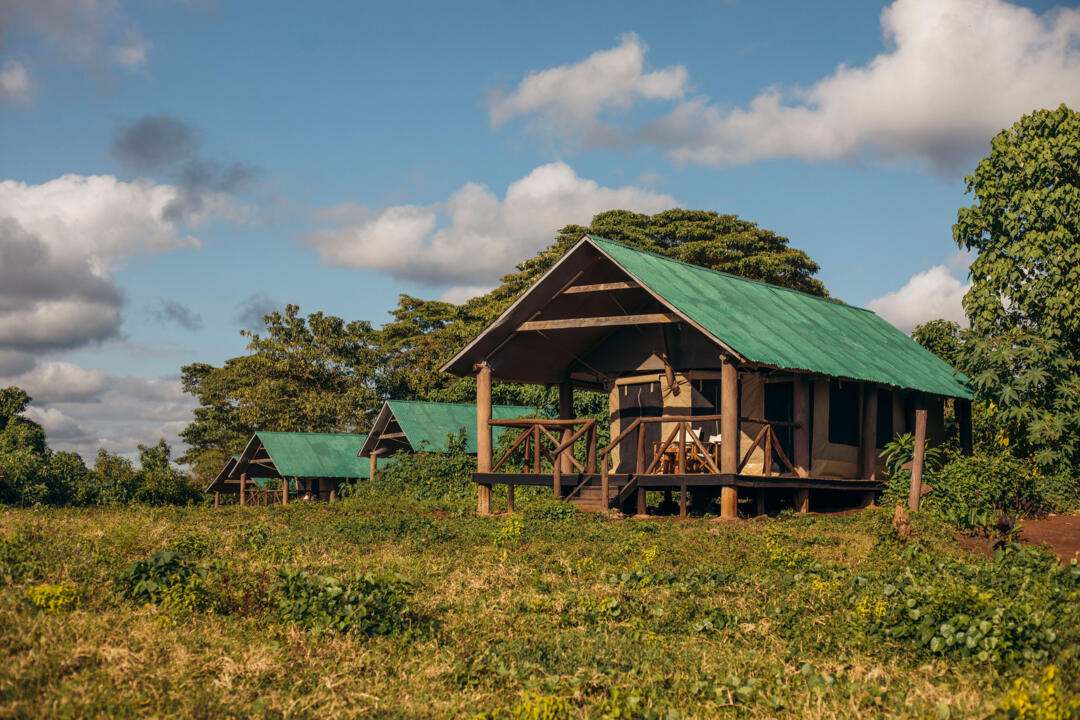 Safari Privatif - En Terre Sauvage - 36