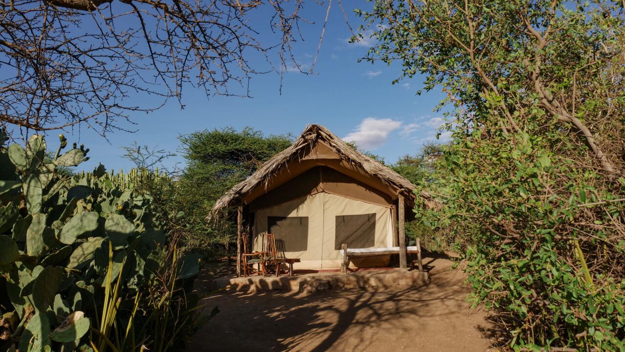 Safari Privatif - Aventure Tanzanienne - 36