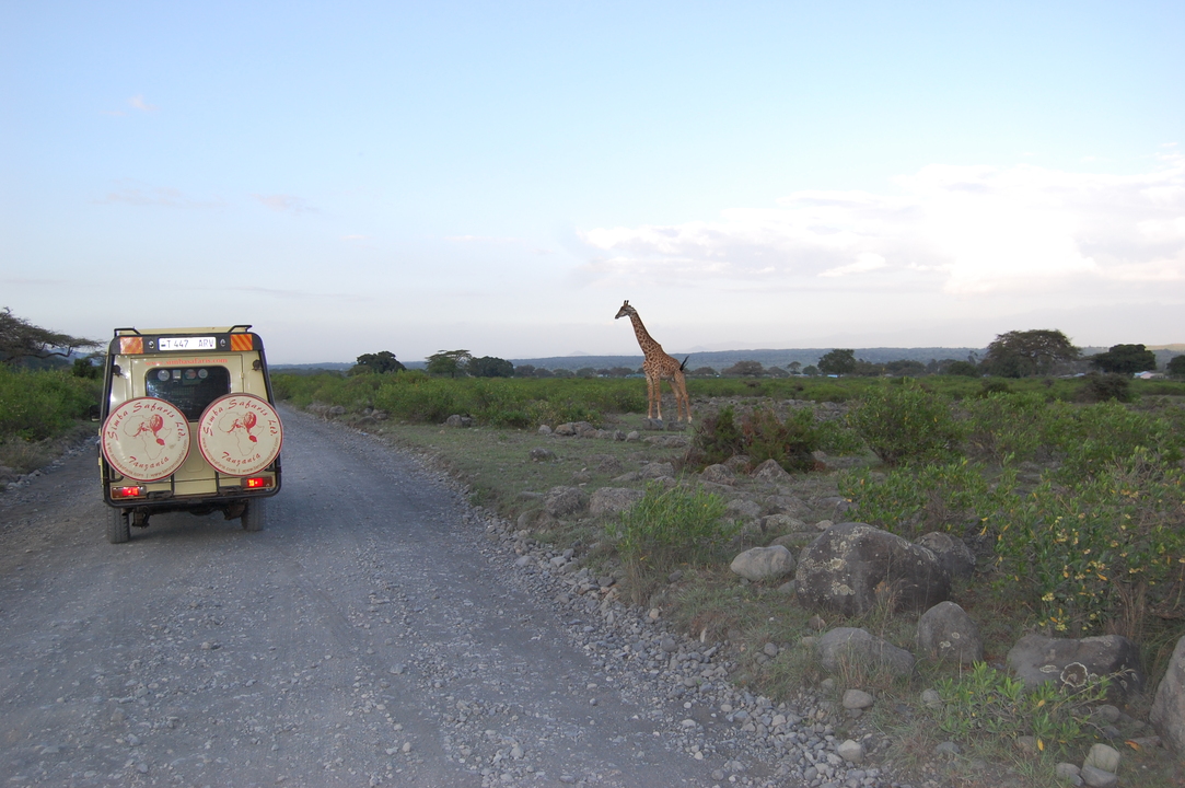 Tanzanie - Safari Evasion en Tanzanie - Circuit Privatif