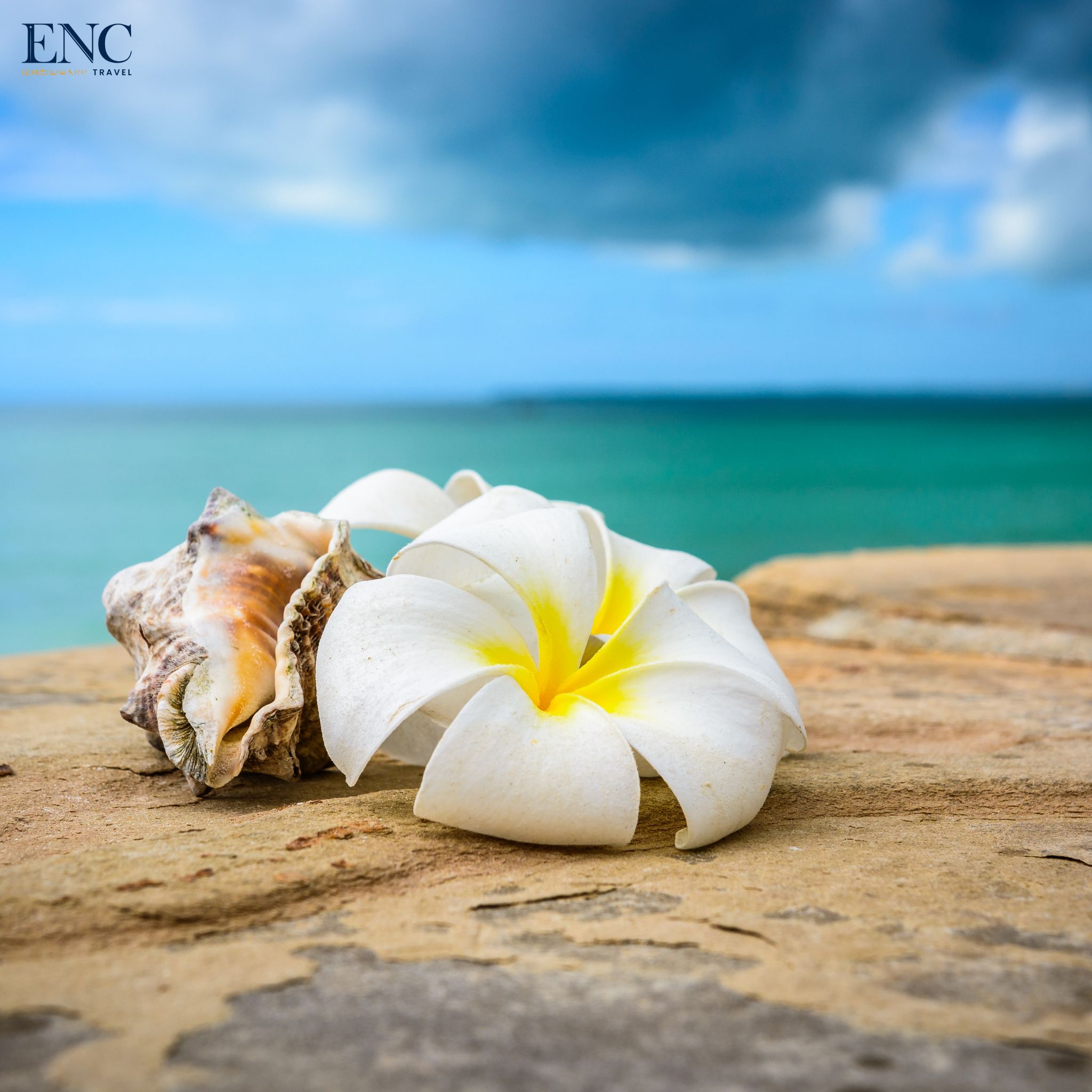 Photo Combiné ENC Travel
