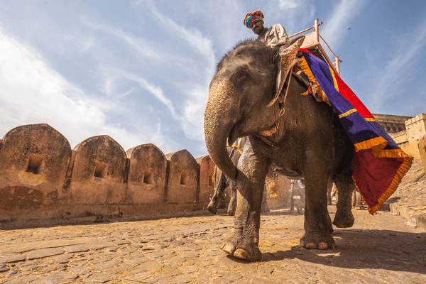 Circuit du Taj Mahal à Udaipur - 23