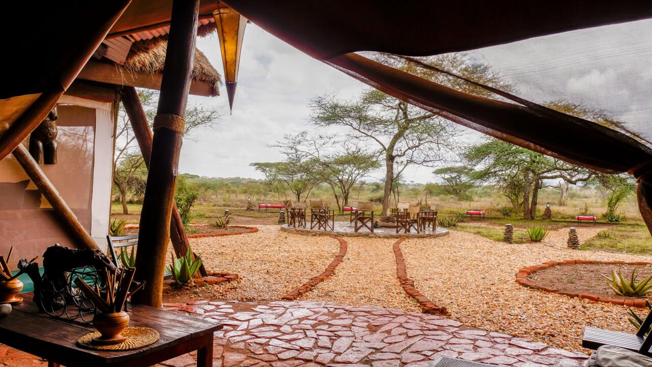 Safari Privatif - En Terre Sauvage - 35
