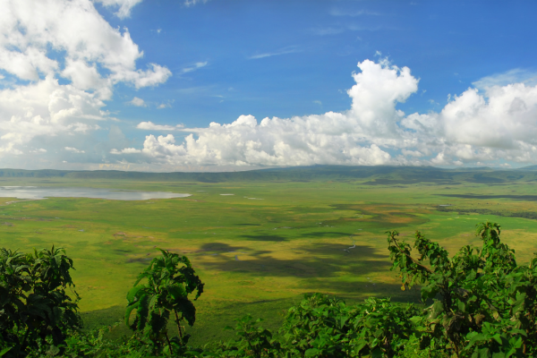 Circuit De la Savane Africaine à l'île aux Epices, plages de Pingwe - Privatif - 11