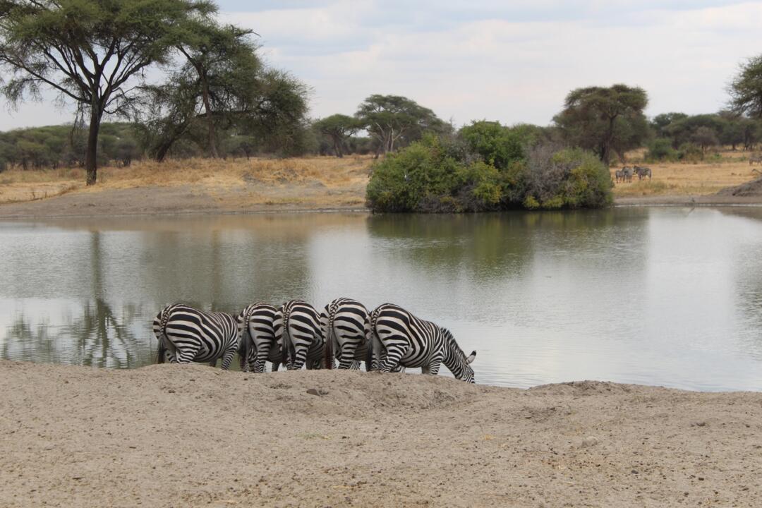 Safari Privatif - En Terre Sauvage - 12