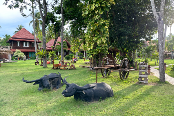 FLEX Séjour Club Coral Bang Saphan 1 semaine achetée = 1 semaine offerte* - 10