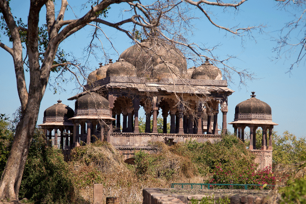 Inde - Inde du Nord et Rajasthan - Circuit Sur la route du Taj Mahal au Tigres de Ranthambore