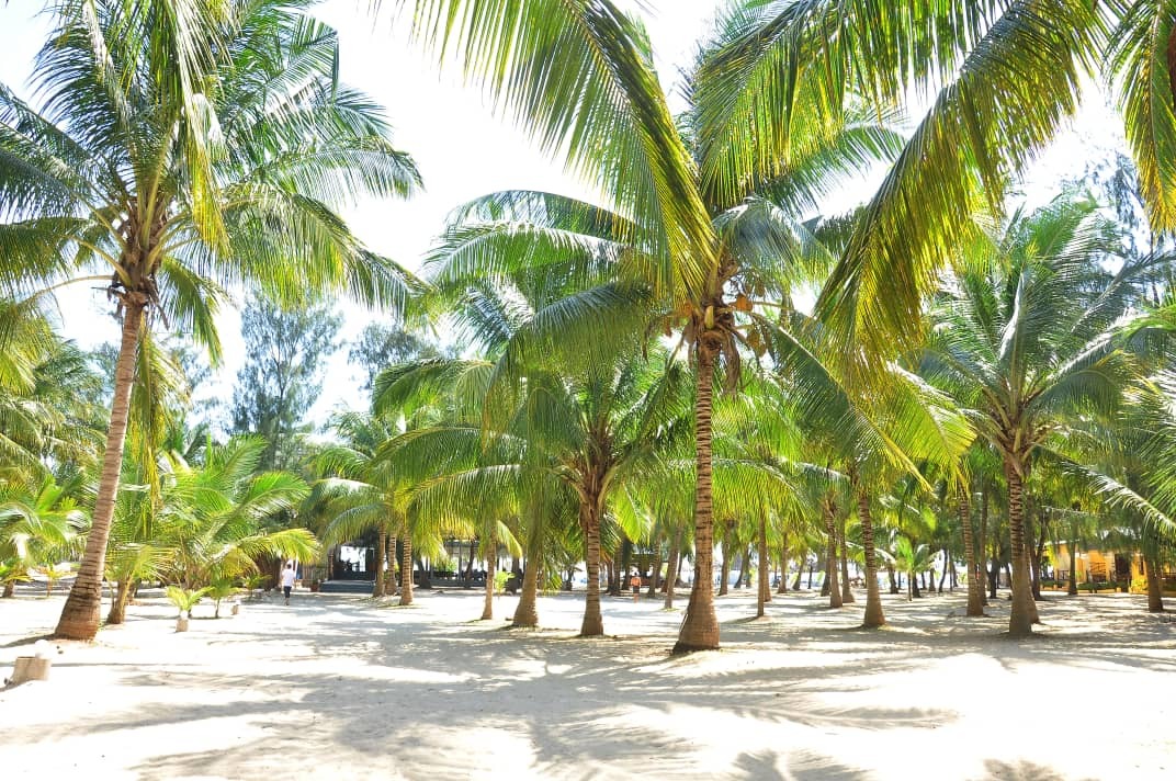 Tanzanie - Zanzibar - Sunset Kendwa Beach Hôtel 3*