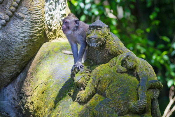 Combiné Bali, Ubud et plages PROMO 14 ou 15 jours - 22