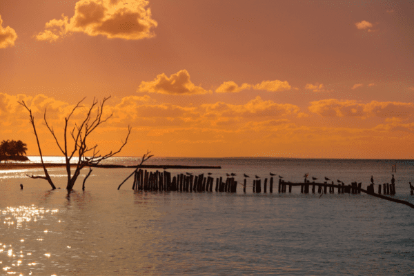 Mexique - Ile de Holbox - Autotour de la Lagune de Bacalar à l'île d'Holbox