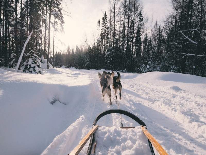Séjour d'Hiver au Pays du Père Noël - 10