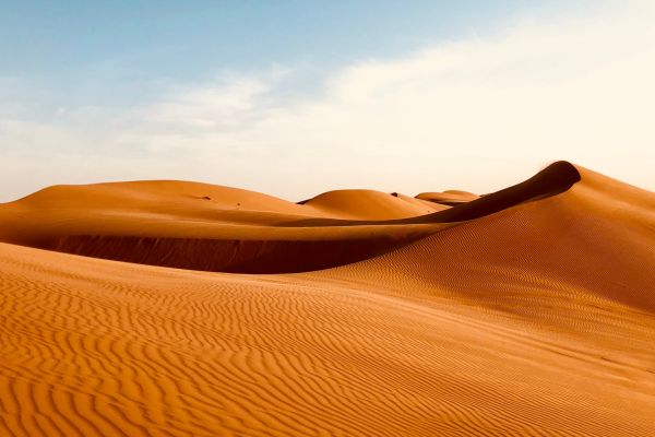 Circuit Parfums d'Oman en privatif - 10