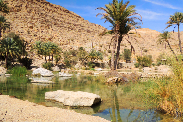 Circuit Parfums d'Oman en Luxe & Privatif - 23