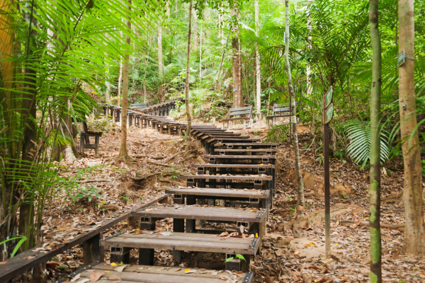 Malaisie - Circuit Malaisie en Liberté, Des Terres Sauvages de Taman Negara à l'île de Gaya 4*