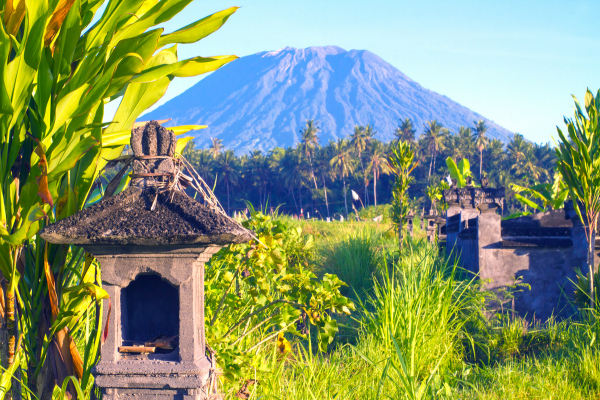 Combiné Jungle, Lombok et Sable de Bali - 6