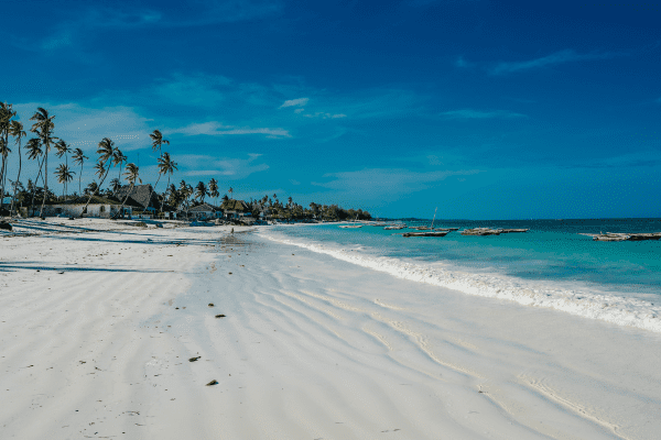 Image 22 du séjour Circuit Tanzanie, Entre Faune et Sable de Kiwengwa en Privatif à Zanzibar, Tanzanie