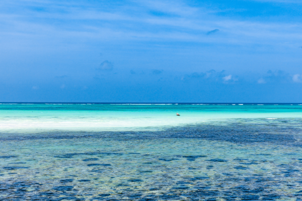 Circuit De la Savane Africaine à l'île aux Epices, plages de Pingwe - Privatif - 26