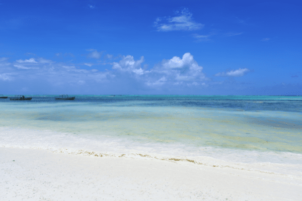 Circuit De la Savane Africaine à l'île aux Epices, plages de Pingwe - Privatif - 25