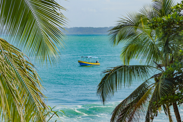 Circuit Dans le Sillage des Corsaires : De Panama à Bocas del Toro - 44